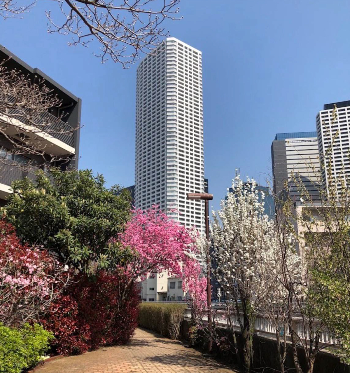 ザ・パークハウス西新宿タワー60